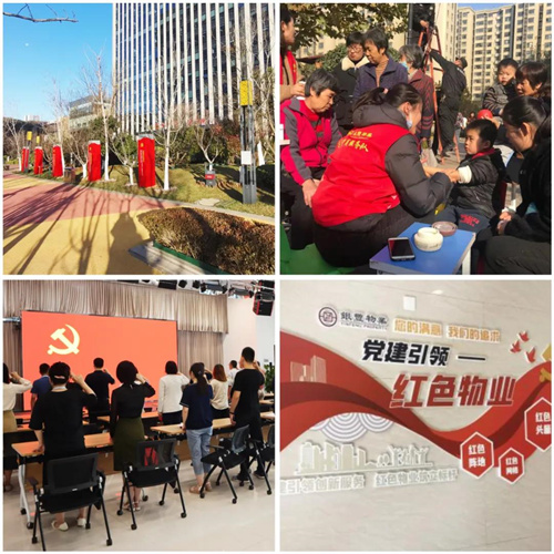 1731909360826149.jpg 4.jpg